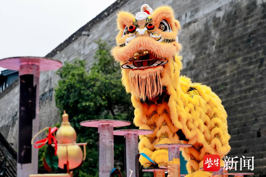 tted, 翻滚
